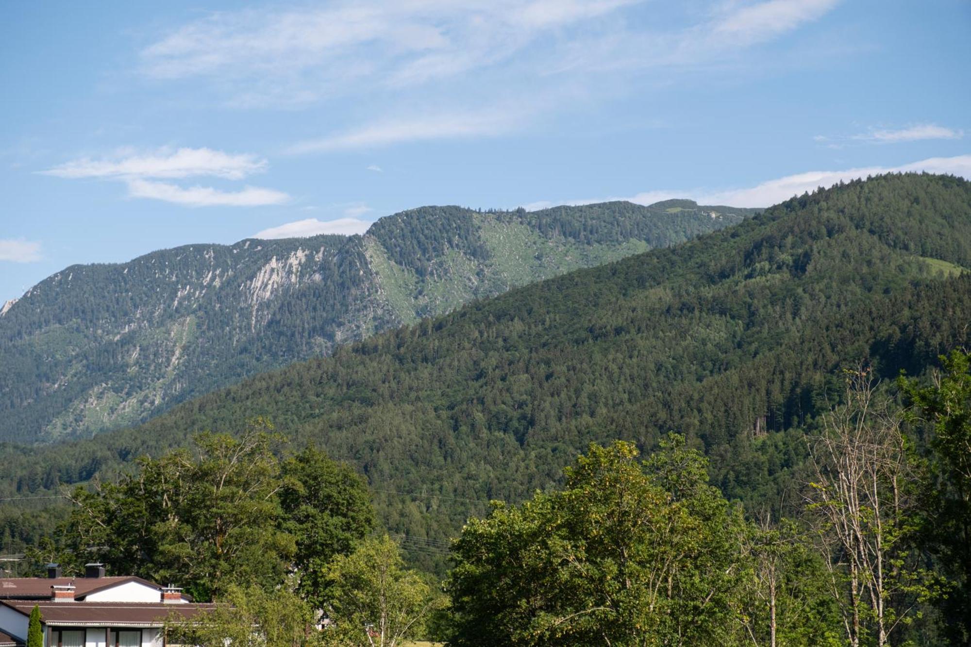 Suite Apartment Modern Getaway - Neu Renoviert - Strobl Am Wolfgangsee מראה חיצוני תמונה